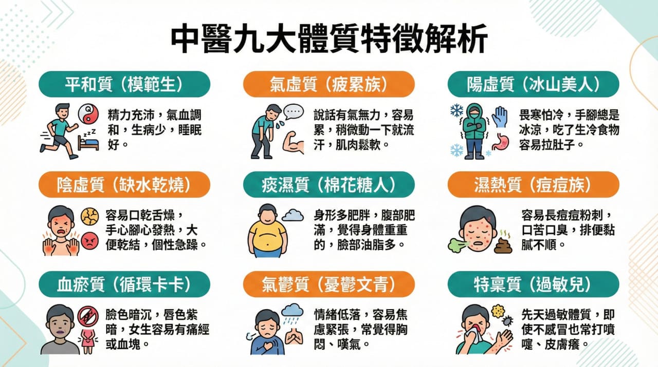 中醫九大體質分類：包含各類體質特徵的綜合圖表
